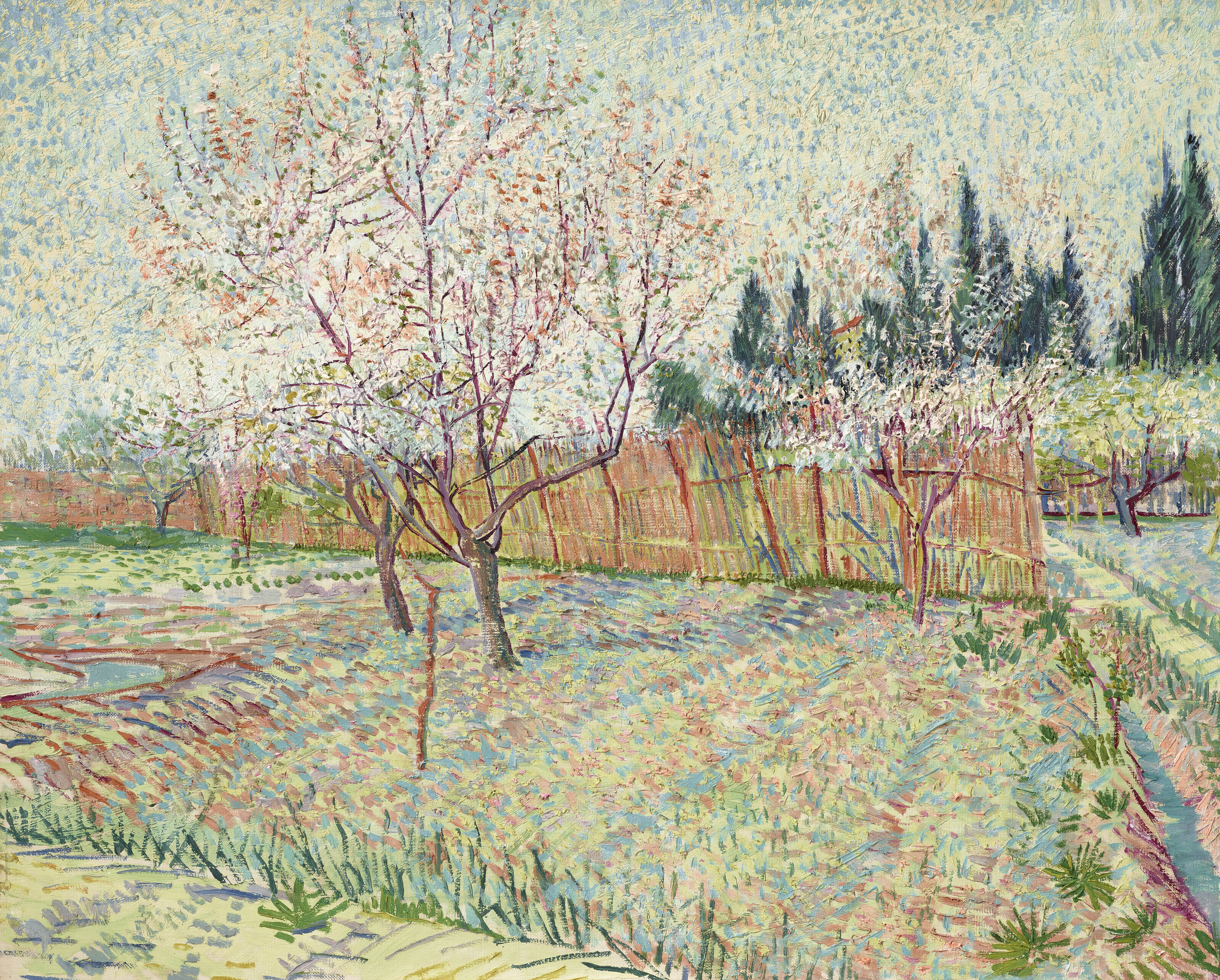 Vincent Van Gogh Verger avec cyprès
