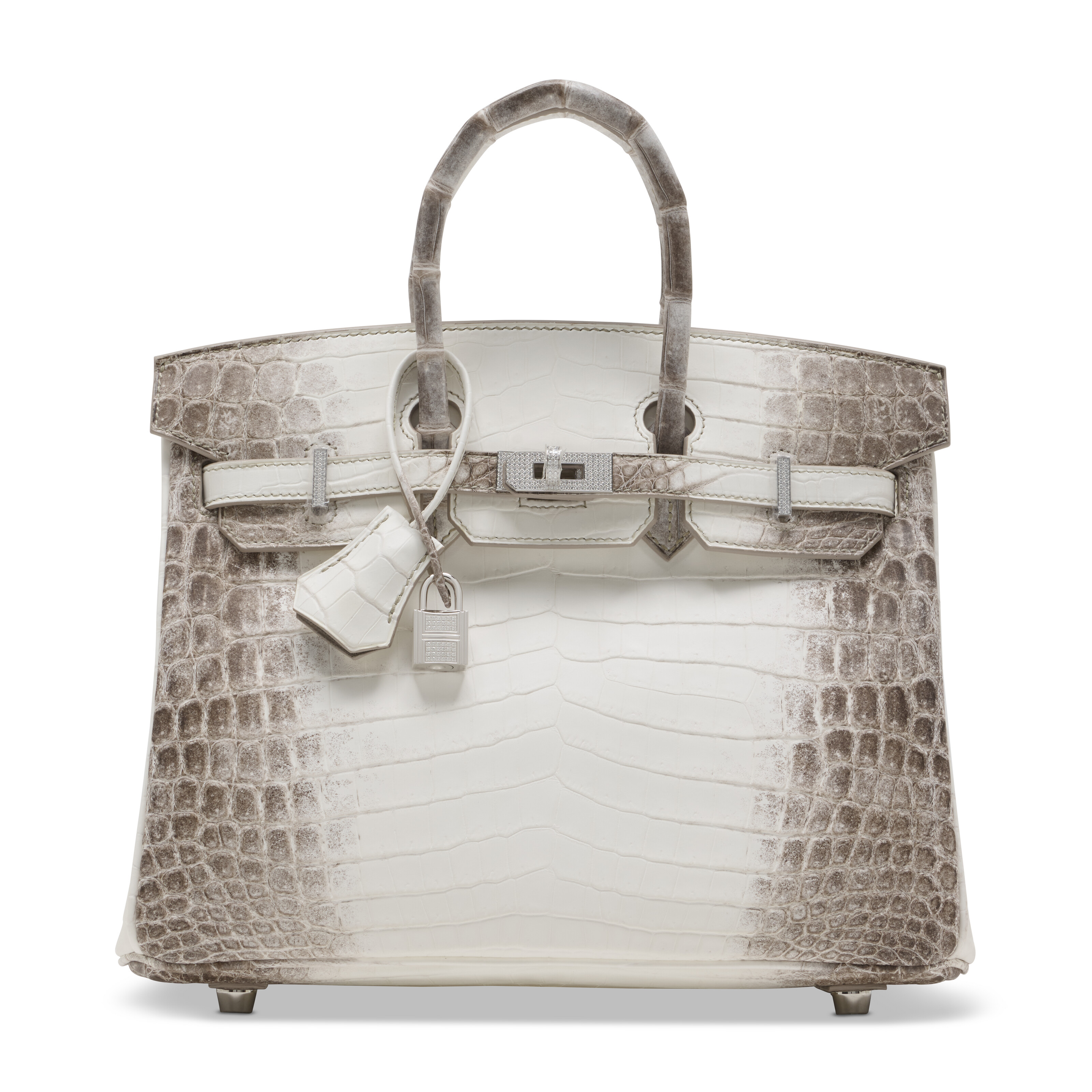 Hermès Birkin 25
