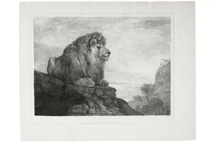 Maurice Sendak: Artist, Collector, Connoisseur