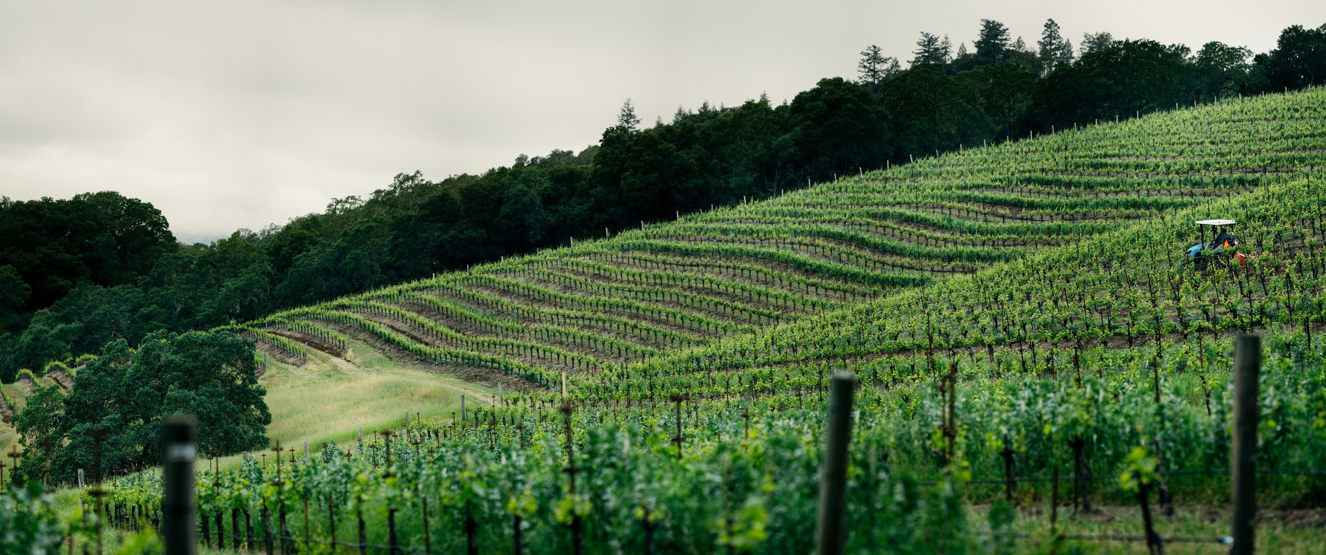 Moët Hennessy strengthens its global portfolio of exceptional wines with the acquisition of Joseph Phelps vineyards of Napa Valley in California