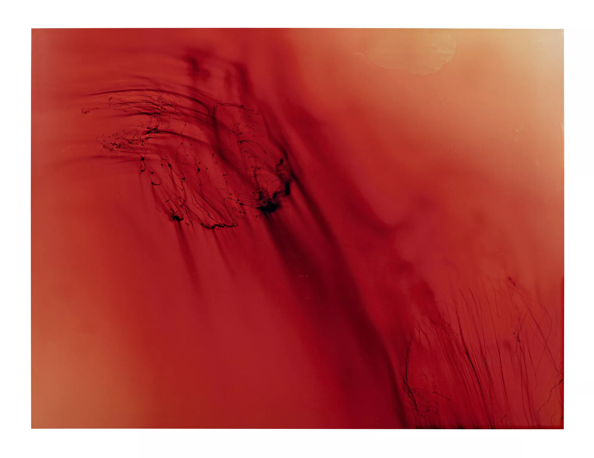 Christie’s to present Wolfgang Tillmans: The Way We Look across its Day and Online sales