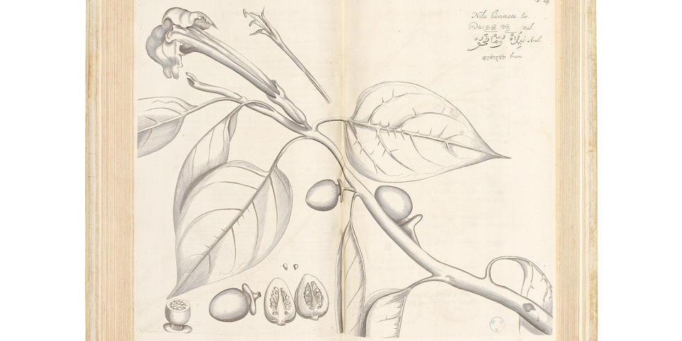 Impressive Results for Bonhams Fine Books Sale in London